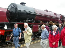 46201 Princess Elizabeth