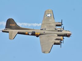 sally B